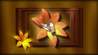 Easy Worship Moving Backgrounds, Flower, Petal, Spa, Yellow, Floral