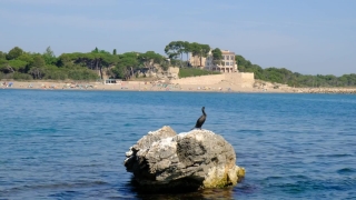 Free  Education Stock Footage, Ocean, Sea, Beach, Shore, Coast