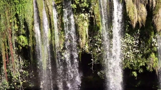 Free  House Stock Video, Fountain, Structure, Forest, Tree, Landscape