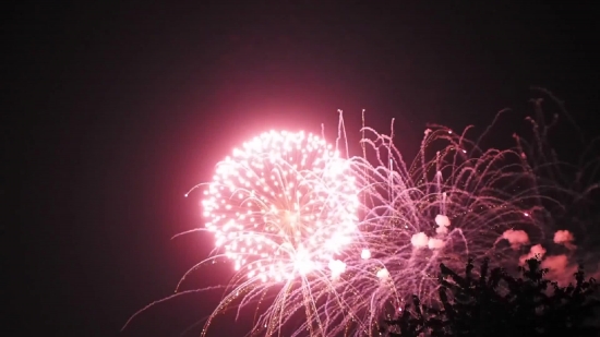 Free 3d Video Backgrounds, Firework, Explosive, Fireworks, Night, Festival