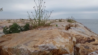 Free Action Essentials 1, Canyon, Rock, Landscape, Desert, Stone