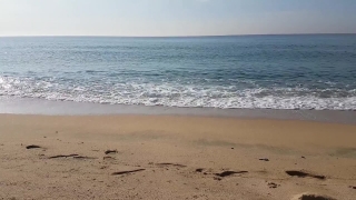 Free African American Stock Footage, Sand, Beach, Ocean, Sea, Sandbar