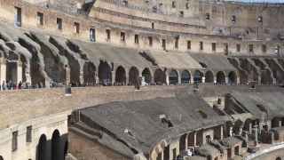 Free Animal Stock Footage, Fortress, Rampart, Architecture, History, Ancient