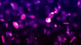 Free Animal Video Footage Download, Light, Design, Lilac, Glow, Pattern