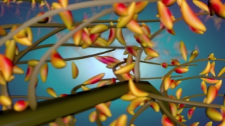 Free Animated Background Loops, Woody Plant, Shrub, Vascular Plant, Honeysuckle, Tree