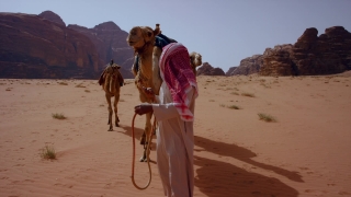 Free Animated Backgrounds For Video, Camel, Ungulate, Desert, Sand, Travel