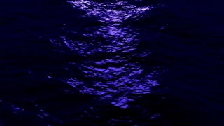 Free Animated Video Maker, Star, Sea, Ocean, Celestial Body, Water