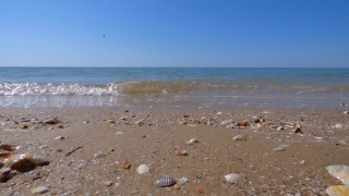 Free Animation Background, Beach, Ocean, Sand, Sea, Water