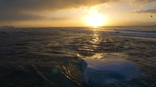 Free Animation For Video, Ocean, Sea, Beach, Sunset, Sun