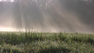 Free Aquarium Stock Footage, Sky, Field, Landscape, Grass, Rural