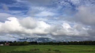 Free Background Footage, Sky, Atmosphere, Field, Grass, Meadow