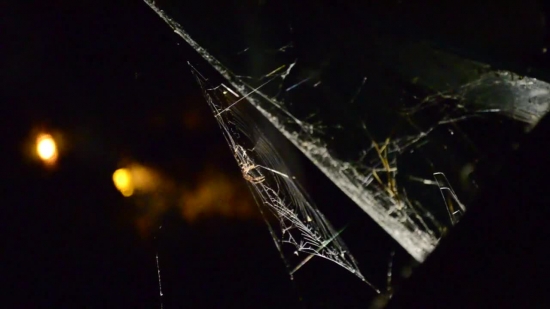 Free Background Music For Video, Spider Web, Cobweb, Web, Black, Night