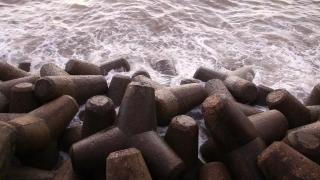 Free Best Sites For Stock Videos, Breakwater, Barrier, Obstruction, Structure, Sea