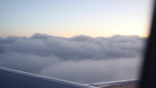 Free Bird Flying Green Screen Video, Wing, Airfoil, Device, Sky, Clouds