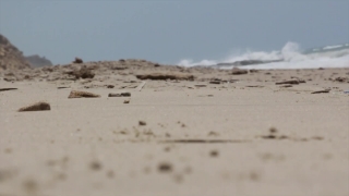 Free Blackbox Stock Footage Reddit, Sand, Dune, Soil, Beach, Desert