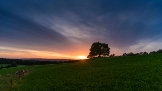 Free Buy Footage, Sky, Grass, Field, Meadow, Landscape