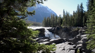 Free Cafe Stock Footage, Forest, River, Mountain, Landscape, Water