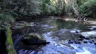 Free Church Worship Backgrounds, Forest, Land, River, Stream, Water