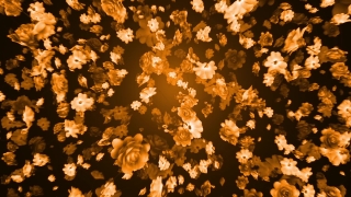 Free Clip Video, Design, Chandelier, Graphic, Wallpaper, Decoration