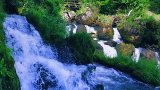 Free Cool Background Animations, River, Stream, Forest, Water, Waterfall