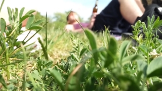 Free Dentist Stock Footage, Grass, Field, Herb, Plant, Meadow