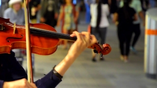 Free Download Video Cinematic No Copyright, Violin, Bowed Stringed Instrument, Stringed Instrument, Musical Instrument, Cello