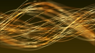 Free Download Video Footage Background, Wheat, Light, Design, Fiber, Shape