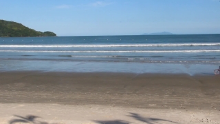 Free Download Video No Copyright, Beach, Ocean, Sand, Sea, Sandbar