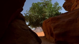 Free Footage Clips, Canyon, Rock, Desert, Sandstone, Landscape