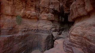 Free Footage For Video Editing, Cliff Dwelling, Dwelling, Housing, Canyon, Rock