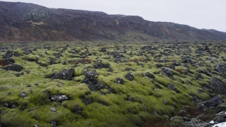 Free Footage Video Stock, Highland, Landscape, Mountain, Mountains, Grass