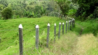 Free Forest Stock Footage, Fence, Cemetery, Picket Fence, Barrier, Worm Fence