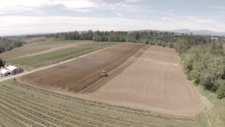 Free Formula 1 Stock Footage, Dune, Landscape, Land, Steppe, Road