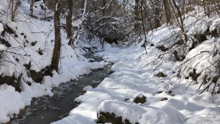 Free Graduation Stock Footage, Snow, Ice, Weather, Winter, Cold