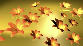 Free Hd Background Loops, Maple, Island, Floral, Design, Decoration