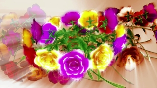 Free Hd Video Stock Footage, Bouquet, Arrangement, Flower Arrangement, Tulip, Flower