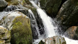 Free Horse Stock Footage, Waterfall, River, Stream, Water, Rock