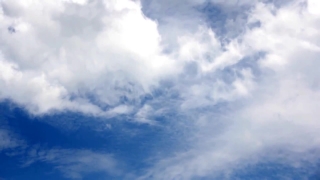 Free Horse Stock Video, Sky, Atmosphere, Cloudiness, Weather, Clouds