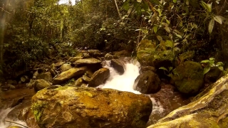 Free Hurricane Stock Footage, Forest, River, Waterfall, Water, Stream