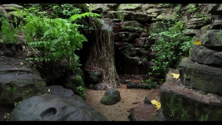 Free Industrial Stock Footage, Tree, Forest, Landscape, River, Vascular Plant