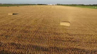 Free Interview Stock Video, Wheat, Cereal, Field, Rural, Landscape