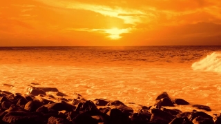 Free Intro Video Download No Copyright, Sun, Beach, Sunset, Sea, Ocean