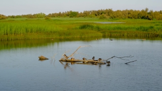 Free Lightning Stock Footage, Lake, Water, Fisherman, Landscape, Forest