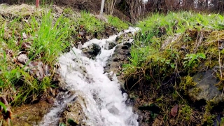 Free Loops Video, River, Forest, Landscape, Stream, Water