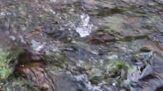 Free Low Cost Stock Video, Water, River, Rock, Landscape, Stone