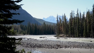 Free Man No Copyright Videos, Snow, Mountain, Landscape, Range, Forest