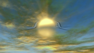 Free Motion Background Loops For Worship, Sun, Sunset, Sky, Clouds, Sea