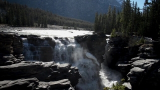 Free Motion Background, River, Forest, Water, Stream, Waterfall