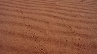 Free Nature 4k Video Mp4 Download, Sand, Dune, Soil, Earth, Texture