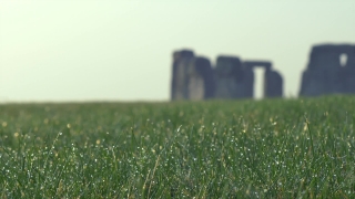 Free Nebula Stock Footage, Grass, Field, Meadow, Lawn, Summer